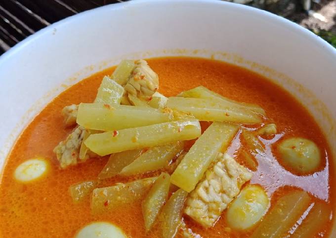 Resep Sayur Ketupat Lebaran Spesial Mudah Dibuat